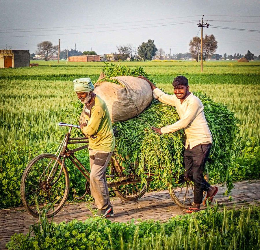 Amritsar Farmers