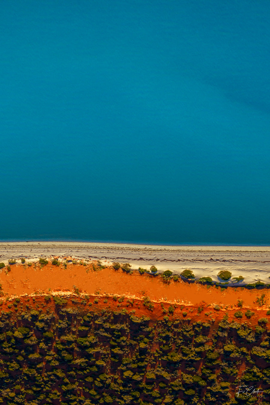 Shark Bay Marine Park,  Western Australia