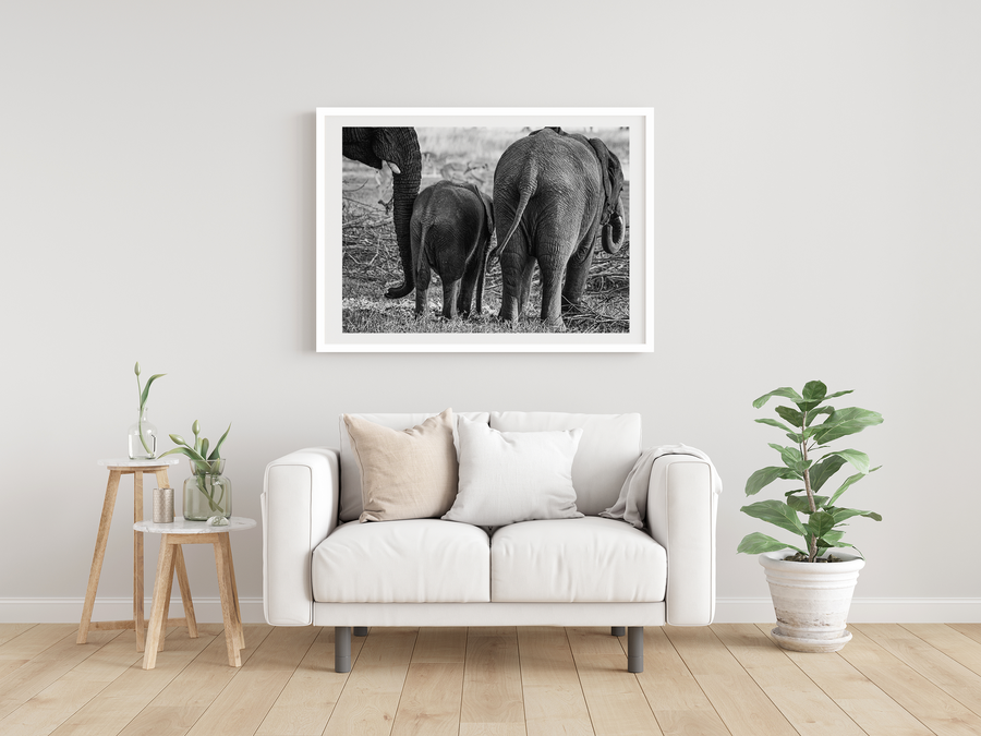 Elephant family (Black and White)