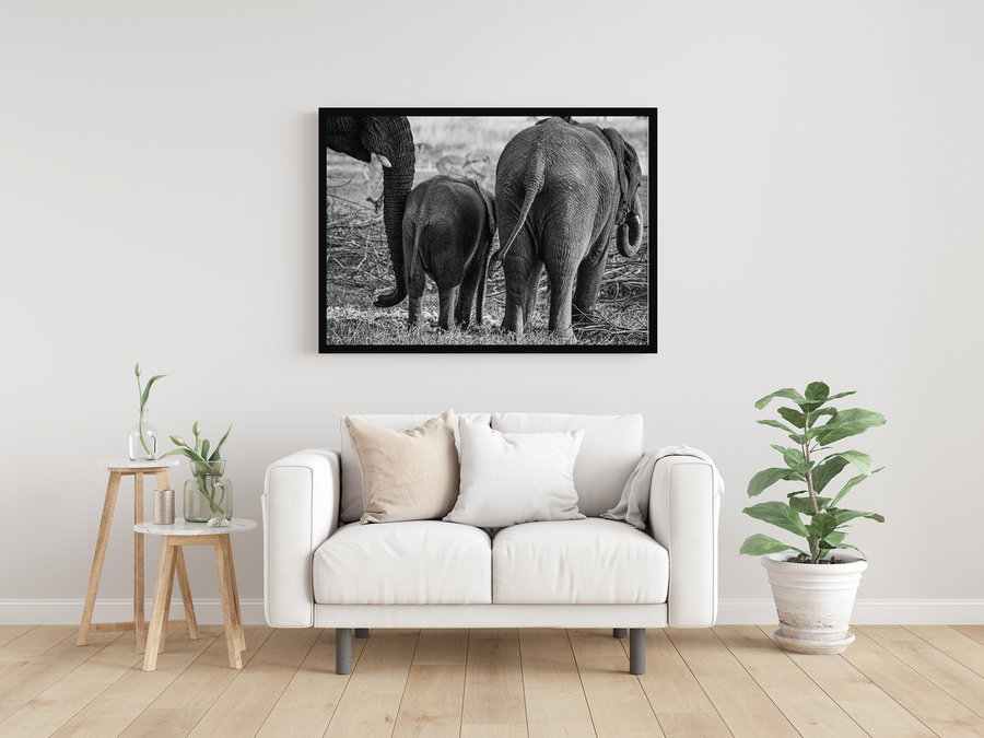 Elephant family (Black and White)