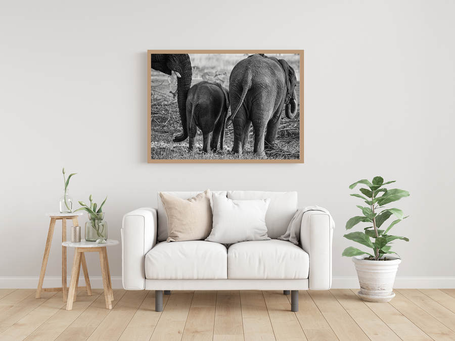 Elephant family (Black and White)