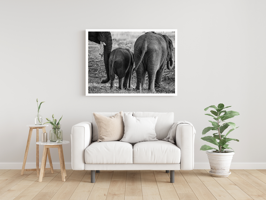 Elephant family (Black and White)