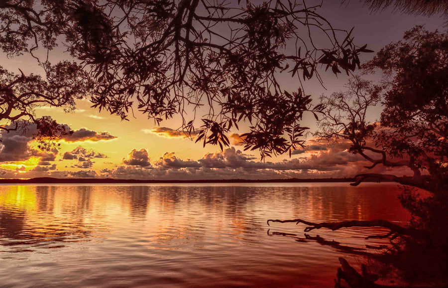 Lake Weyba sunrise, Noosa Heads