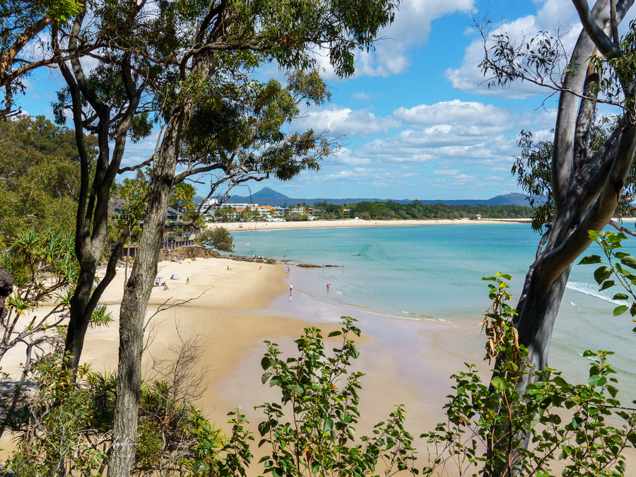 Midday, Little Cove, Noosa Heads, Qld