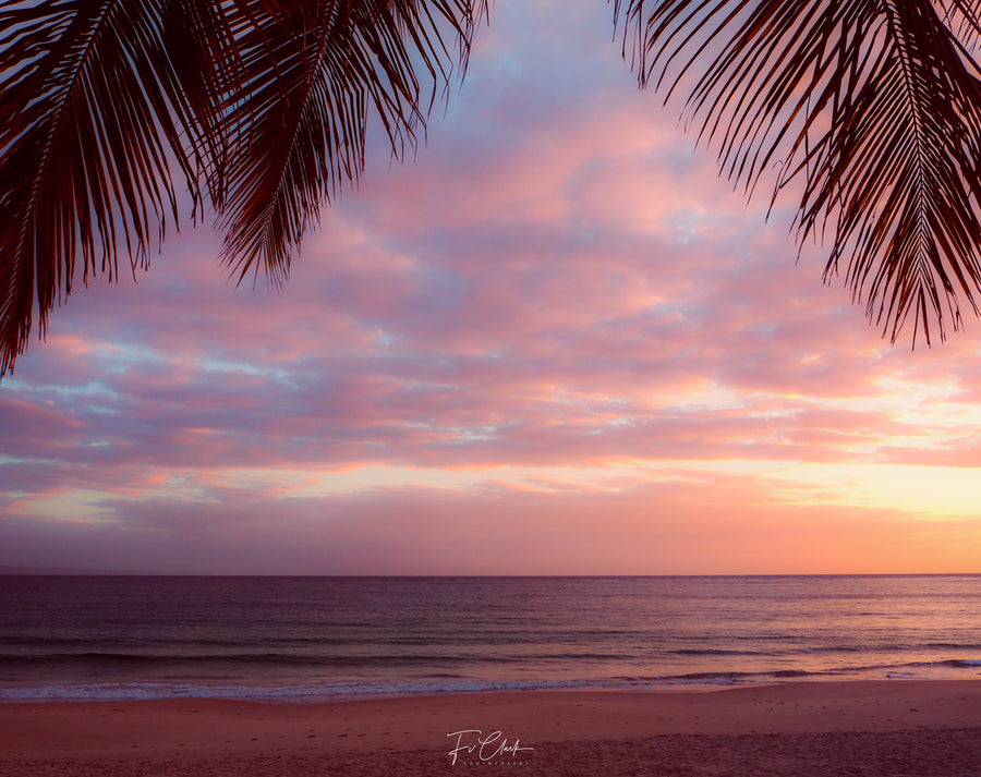 Palm Curtains, Noosa Board Walk, Noosa Main Beach