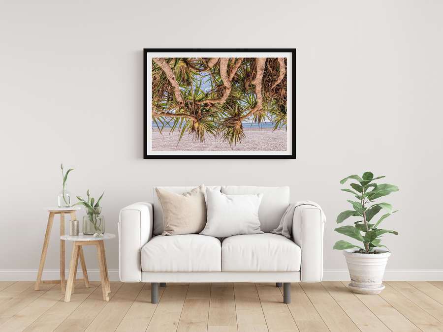 Pandanus, Main Beach Boardwalk, Noosa Heads