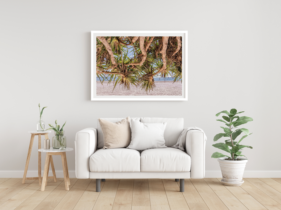 Pandanus, Main Beach Boardwalk, Noosa Heads