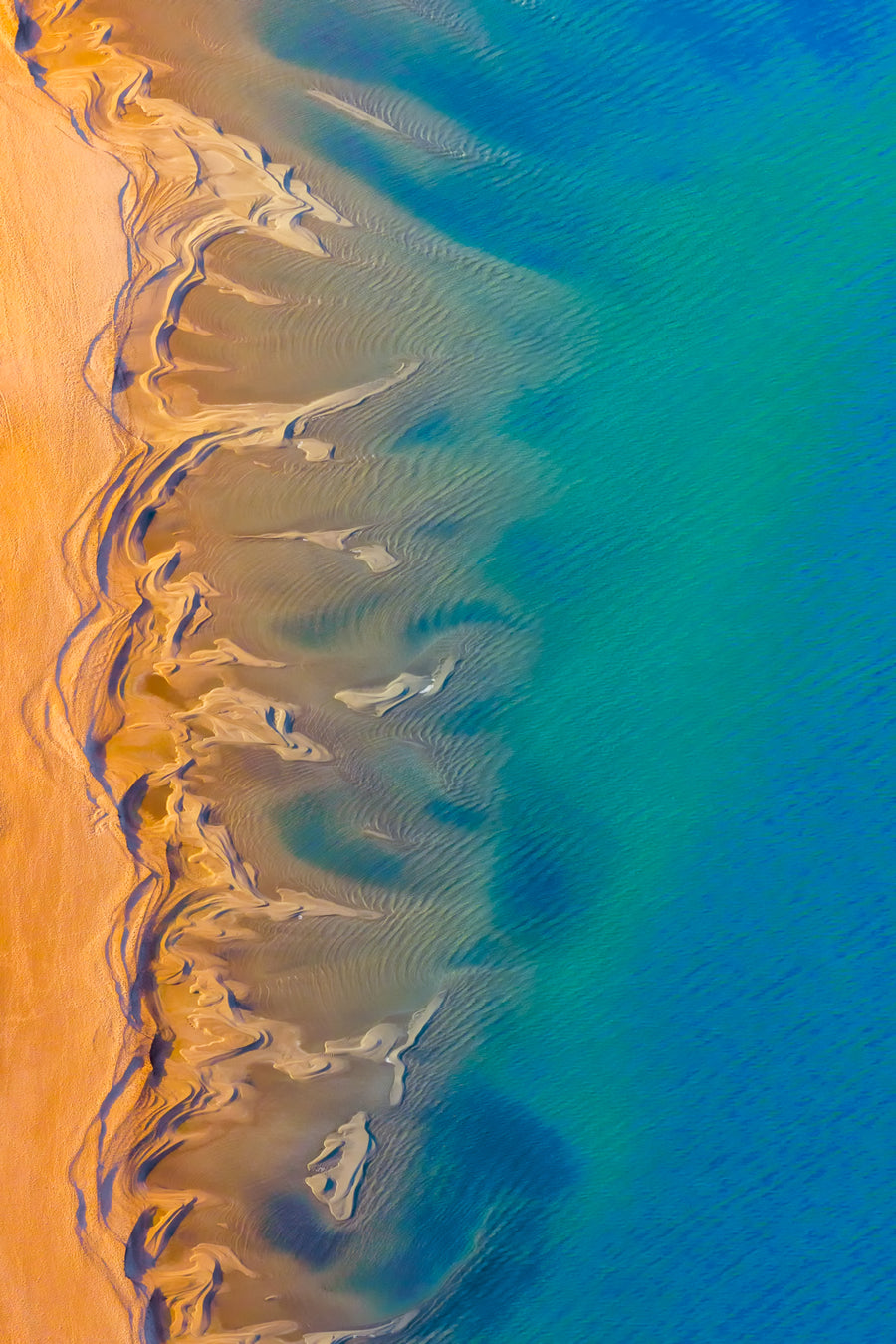 Shark Bay Marine Park,  Western Australia