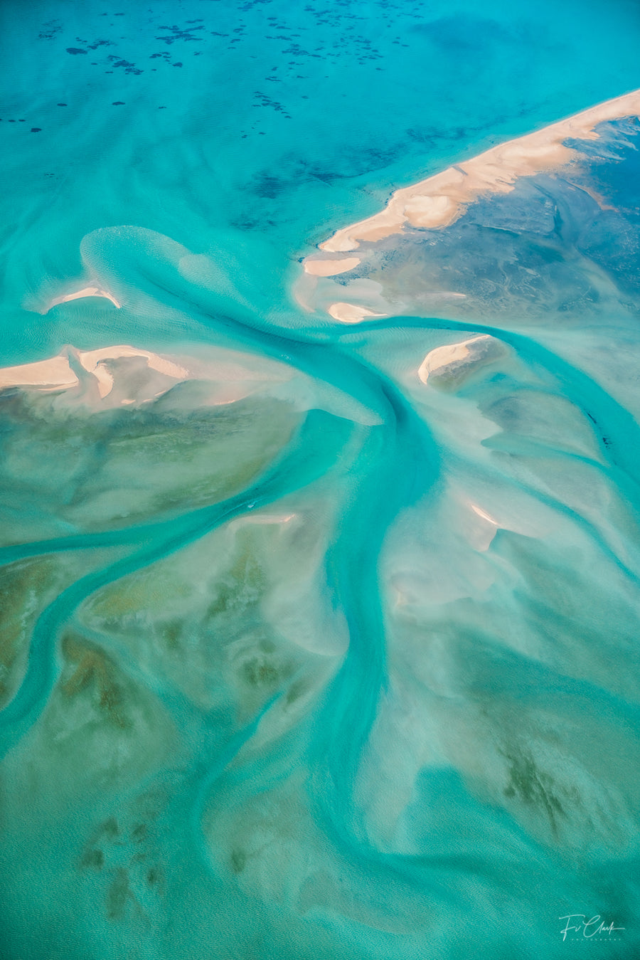 Tree of Life, Shark Bay, Western Australia