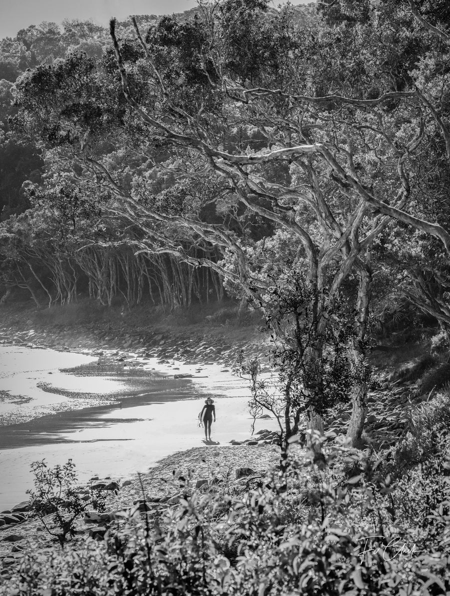 Tea Tree Bay with Surfer, Black and White, Noosa Heads