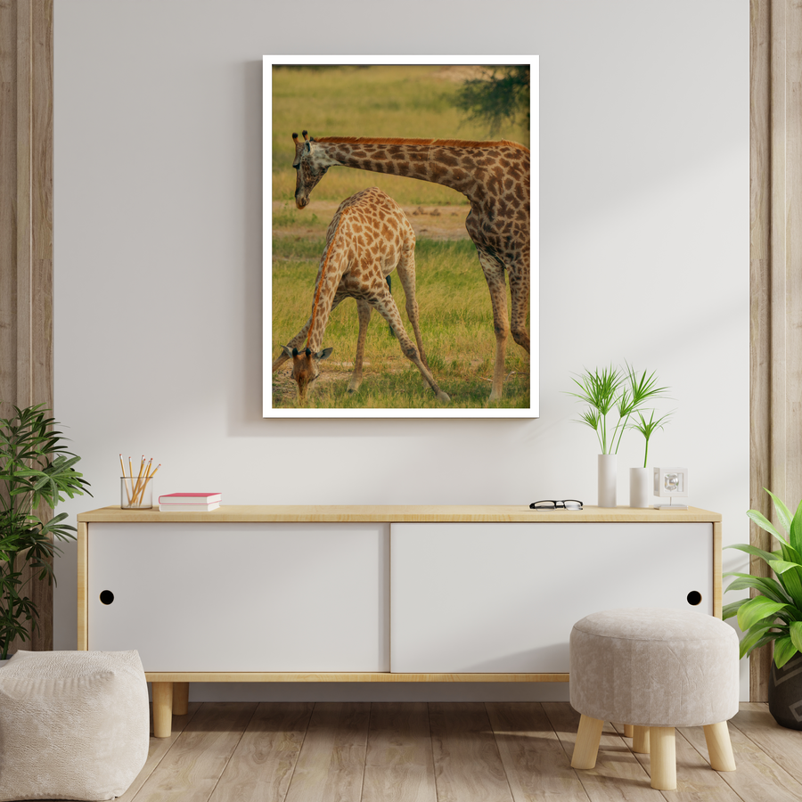 Giraffe family at Waterhole